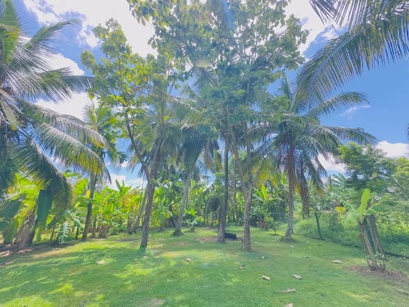 34 Perch Land for Sale in Angoda | අංගොඩ පර්චස් 34ක ඉඩමක් විකිණීමට