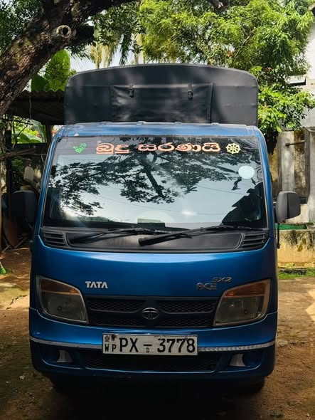 Dimo Batta Ace Ex2 2014