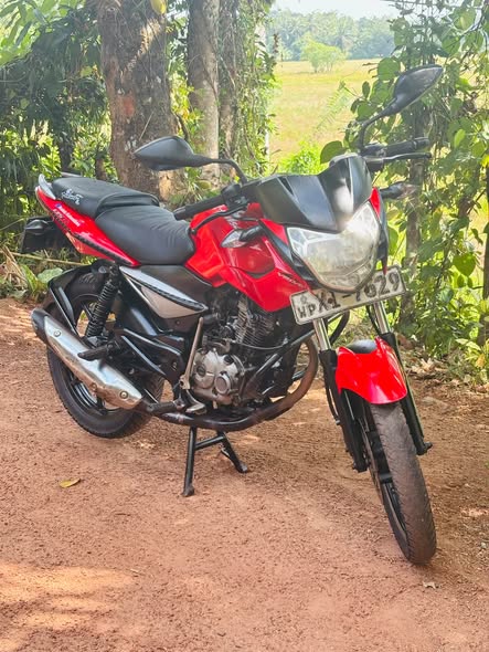 Motorcycle Pulsar 135 – Great Condition – Gampaha Bemmulla
